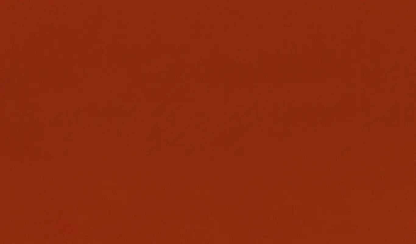 Orange 19