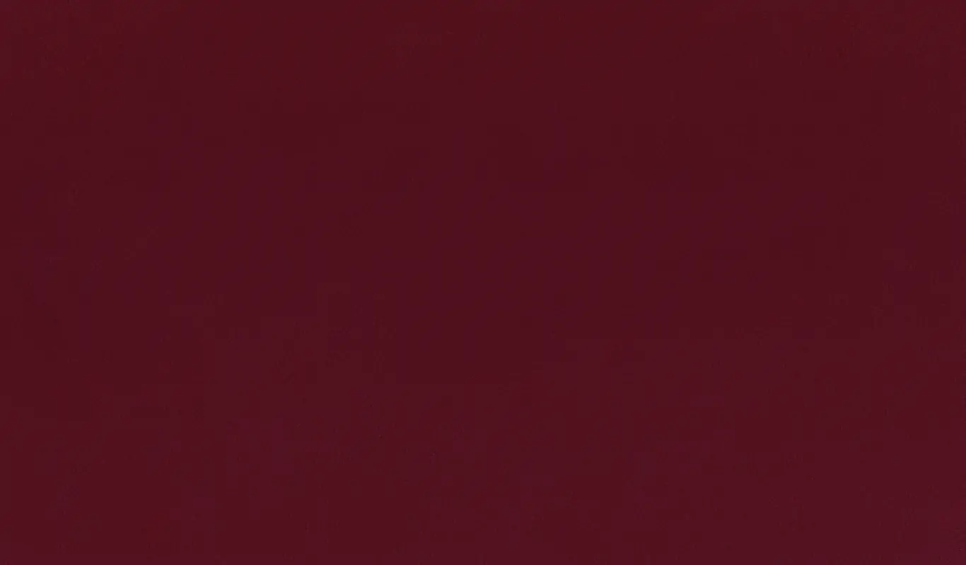Vino 24