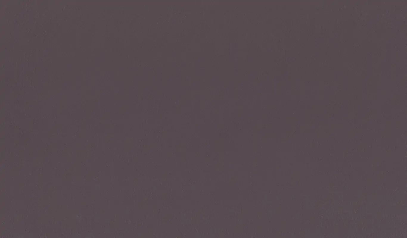 Iris 29