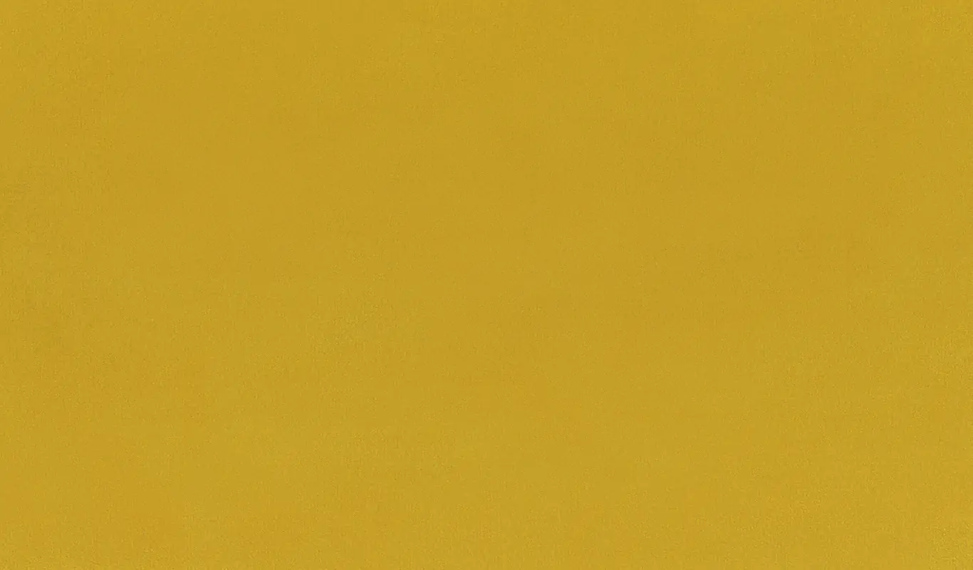 Acacia 41