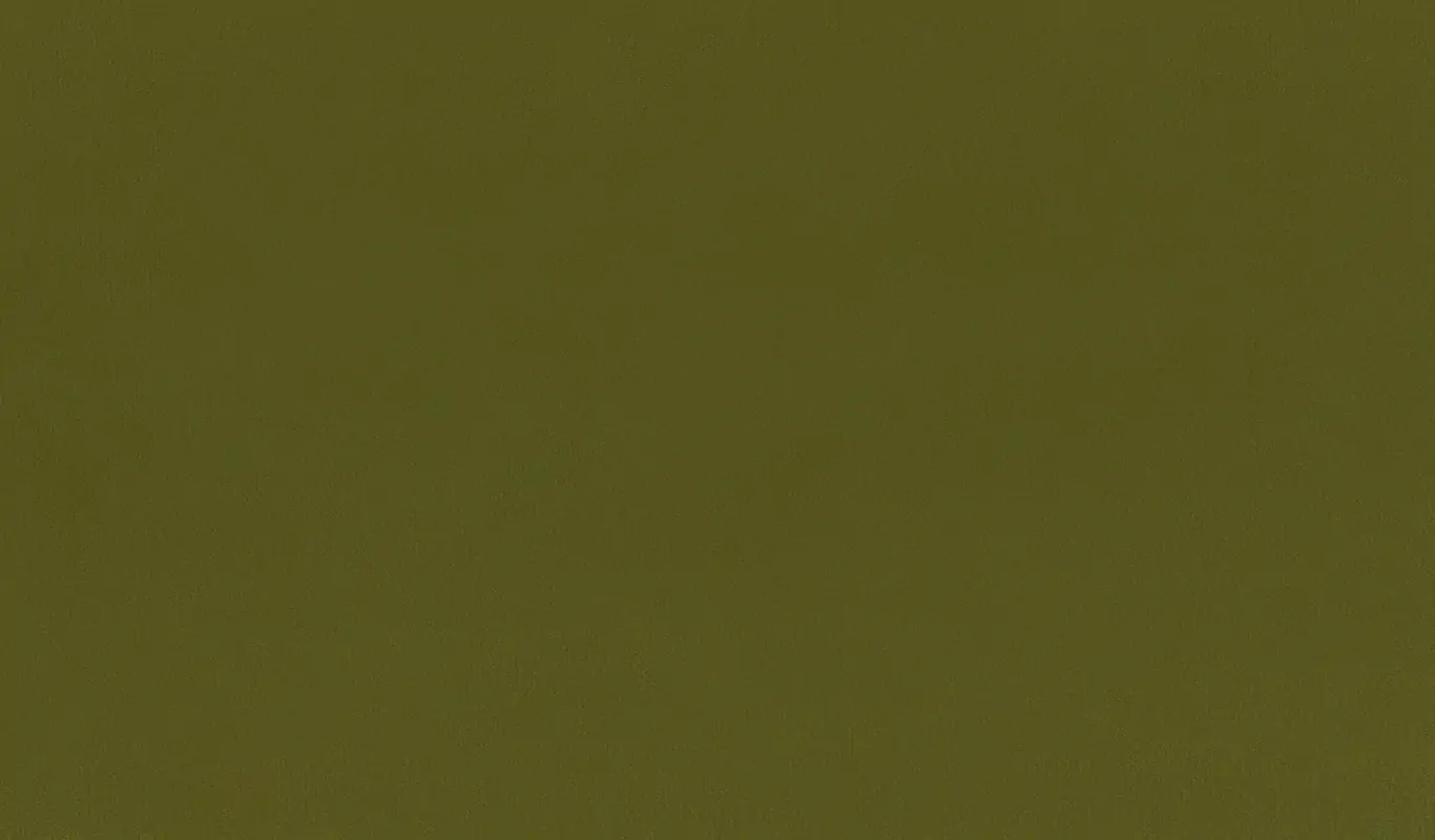 Olive 42