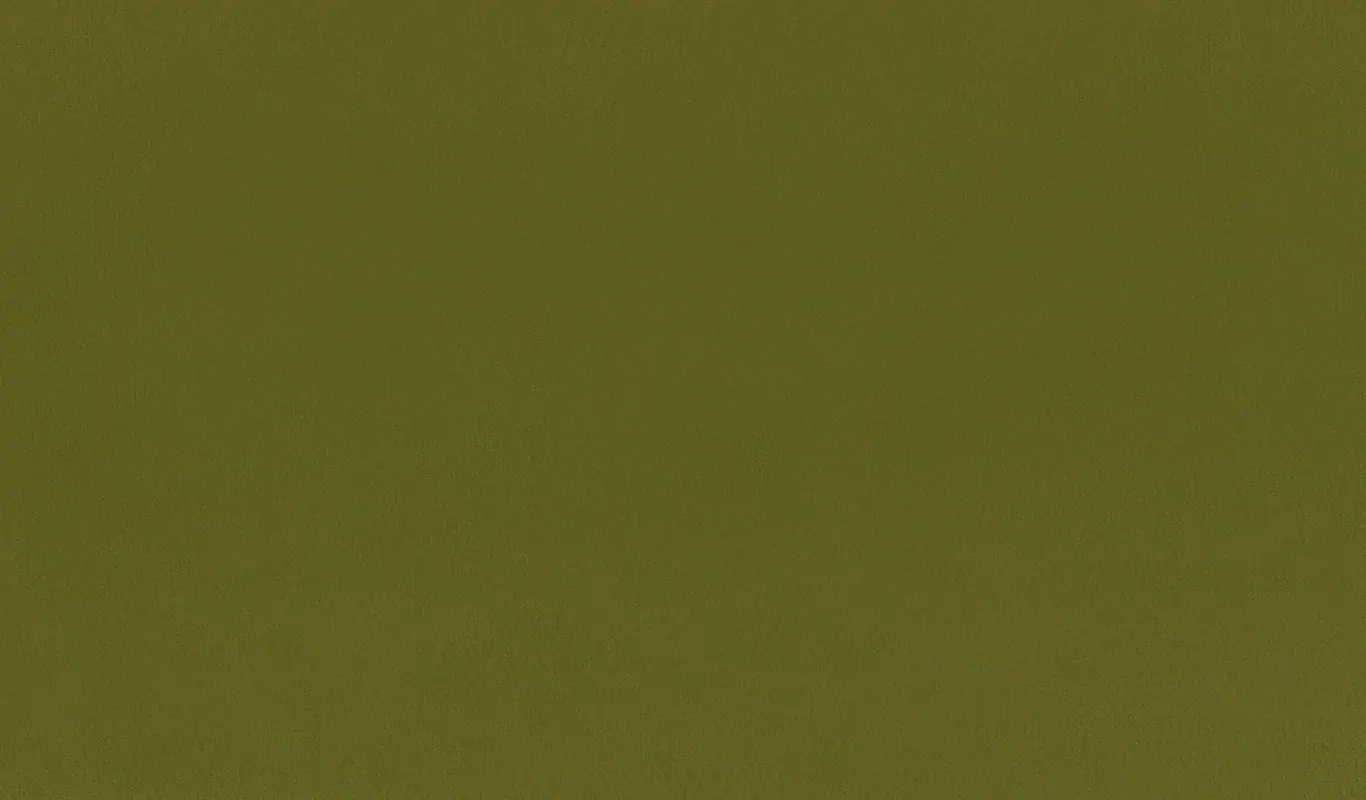 Leaf 43