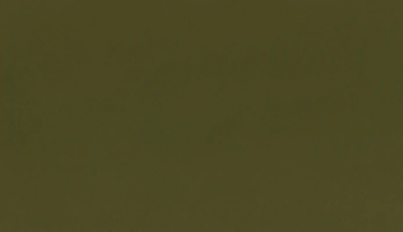 Khaki 44