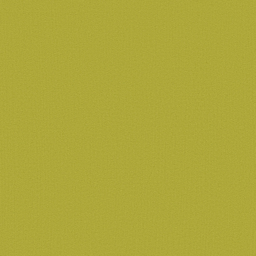 Leaf 504