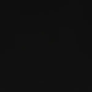 Black 5295