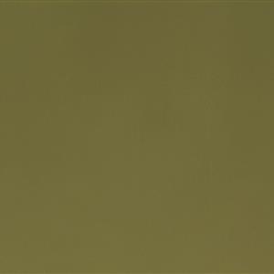 Moss 5284