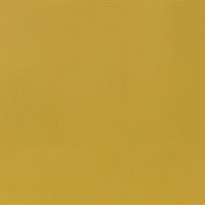 Gold 5210
