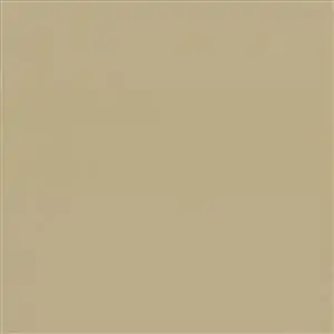 Parchment 05501