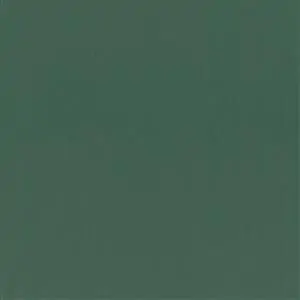 Grungrau 05520