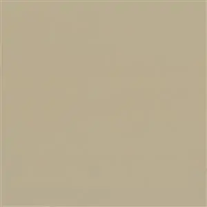 Fawn 55202