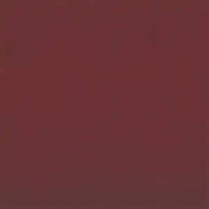 Raspberry 55127