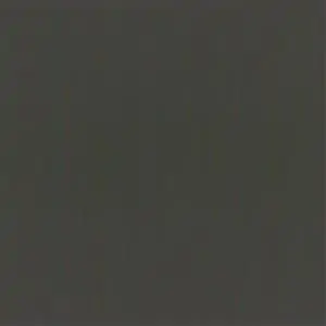 Charcoal 55206