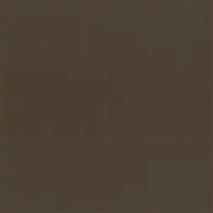 Chocolate 05508