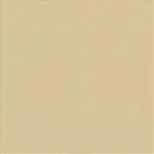 Bone 05523