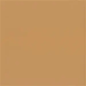 Camel 05502