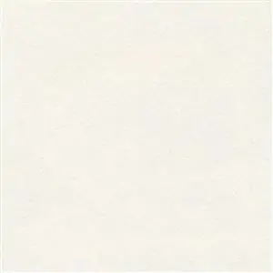 White 173
