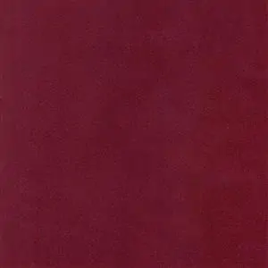 Raspberry 423