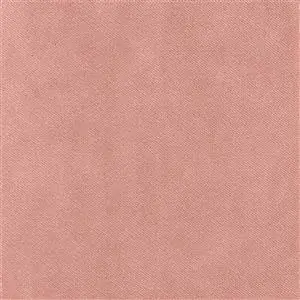 Rose 424