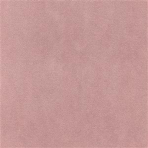 Lilac 425