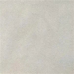 Light Gray 220