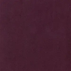 Aubergine 434