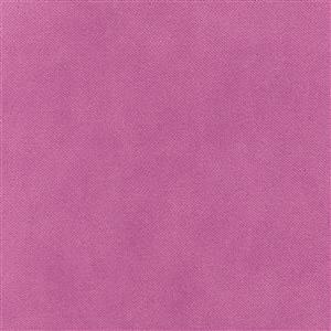 Crocus 436