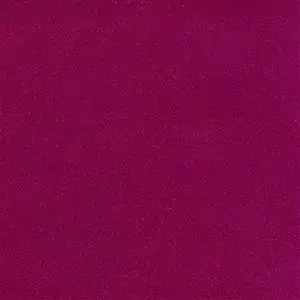 Fuchsia 234