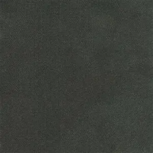 GRAY 217