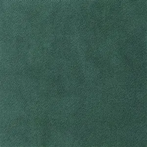 Forest 211