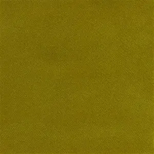 Kiwi 181