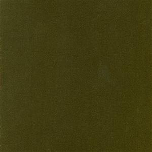 Olive 062