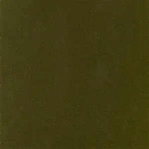 Olive 062