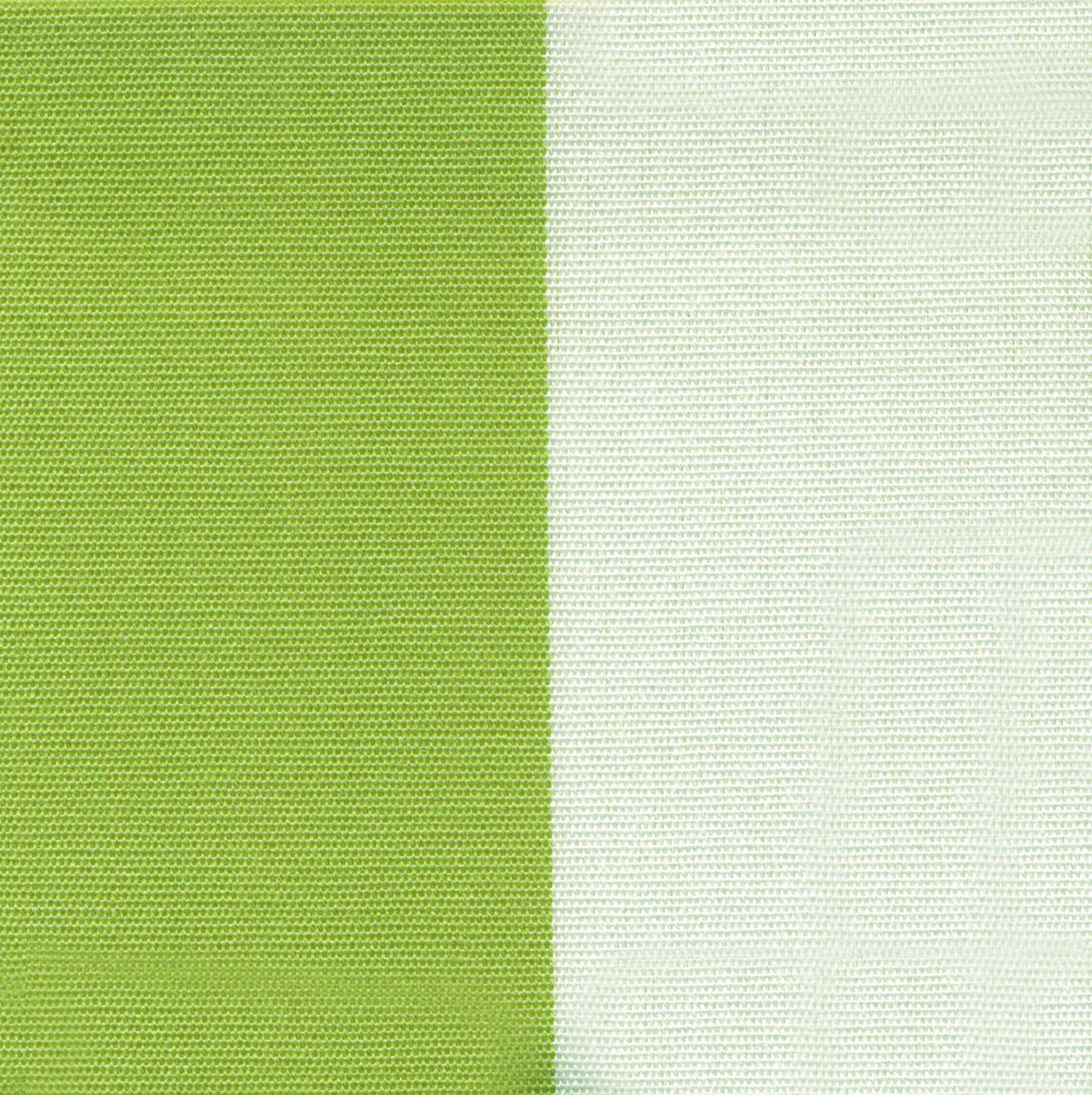 Leaf 81