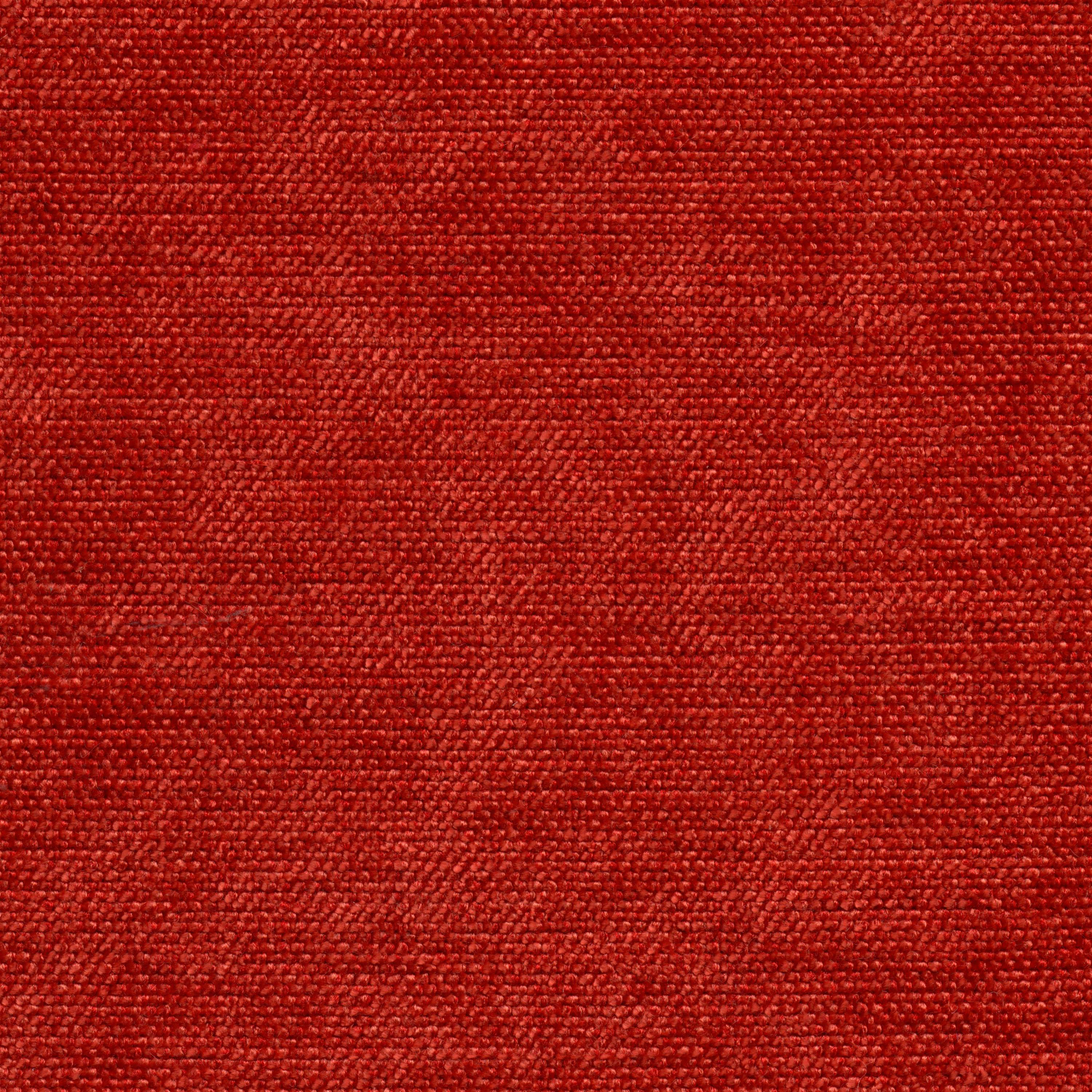 TANGERINE 303