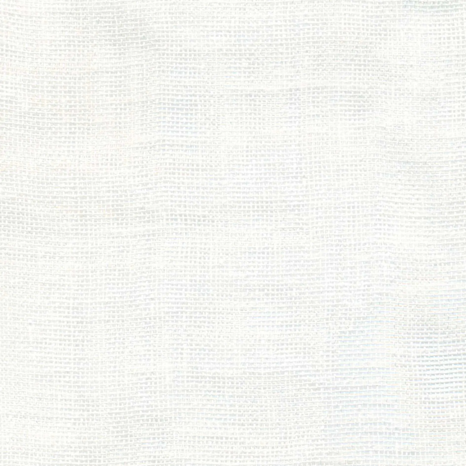 White 503