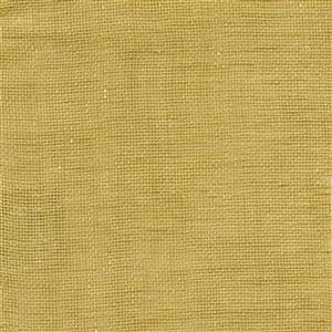 Seagrass 211
