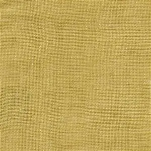 Seagrass 211