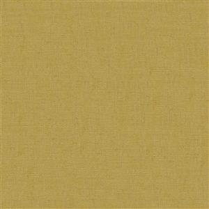 Mustard 31