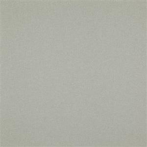 Fog 14