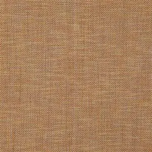 Apricot 09