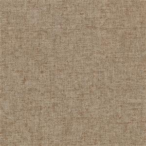 Lightbrown 101