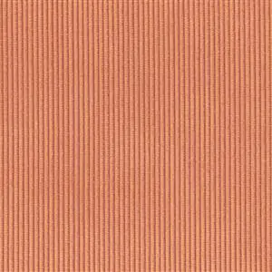 Coral 24