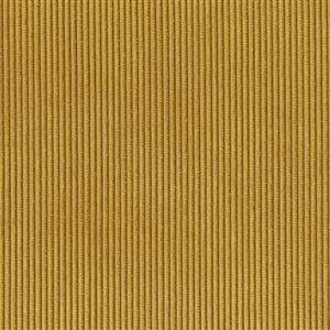 Goldenrod 20