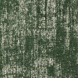 Forest 38