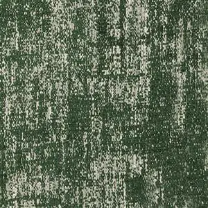 Forest 38