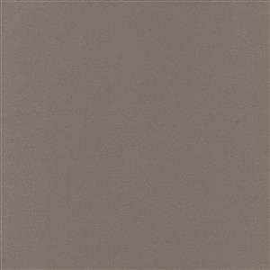 Taupe 066
