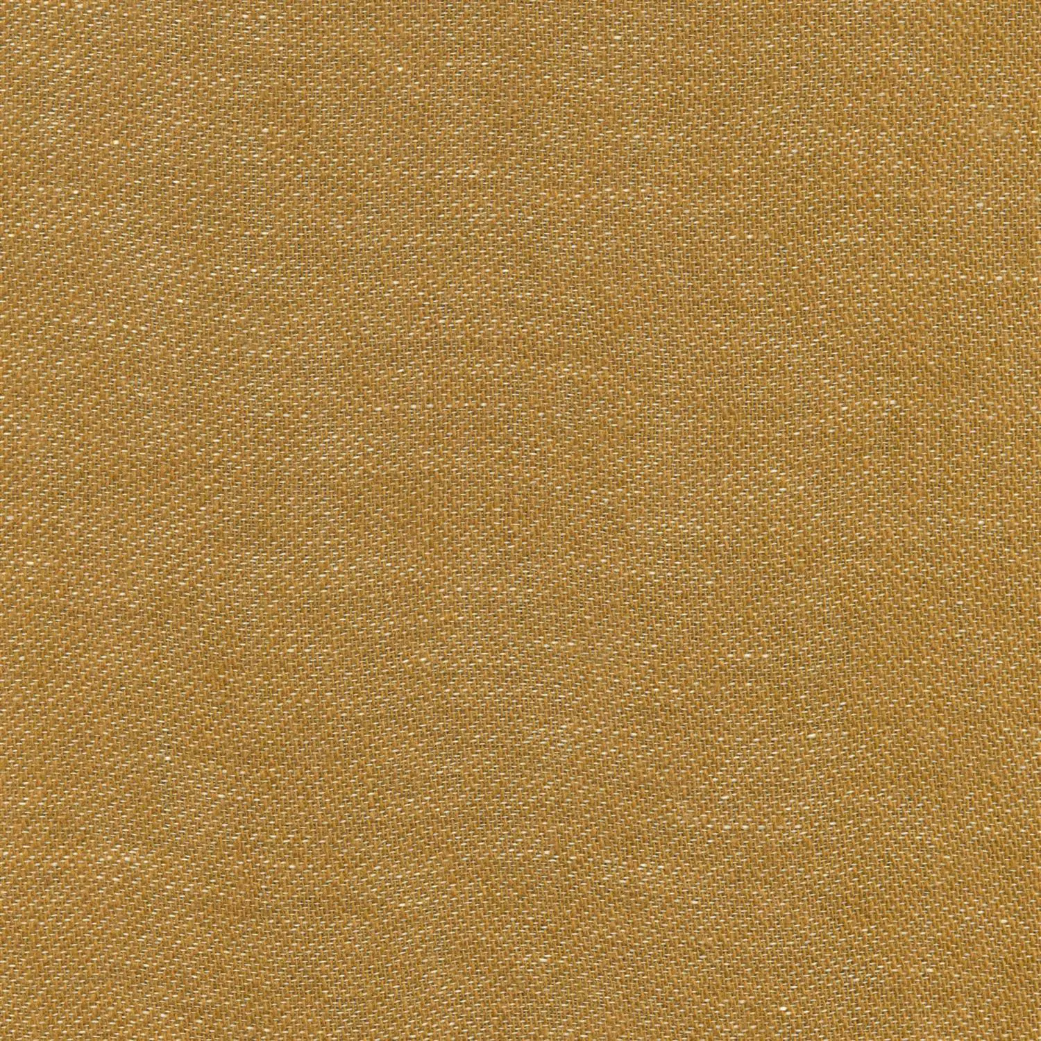 Spice 38