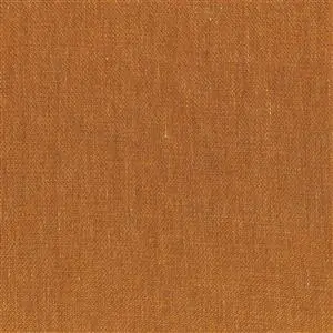 Camel 31