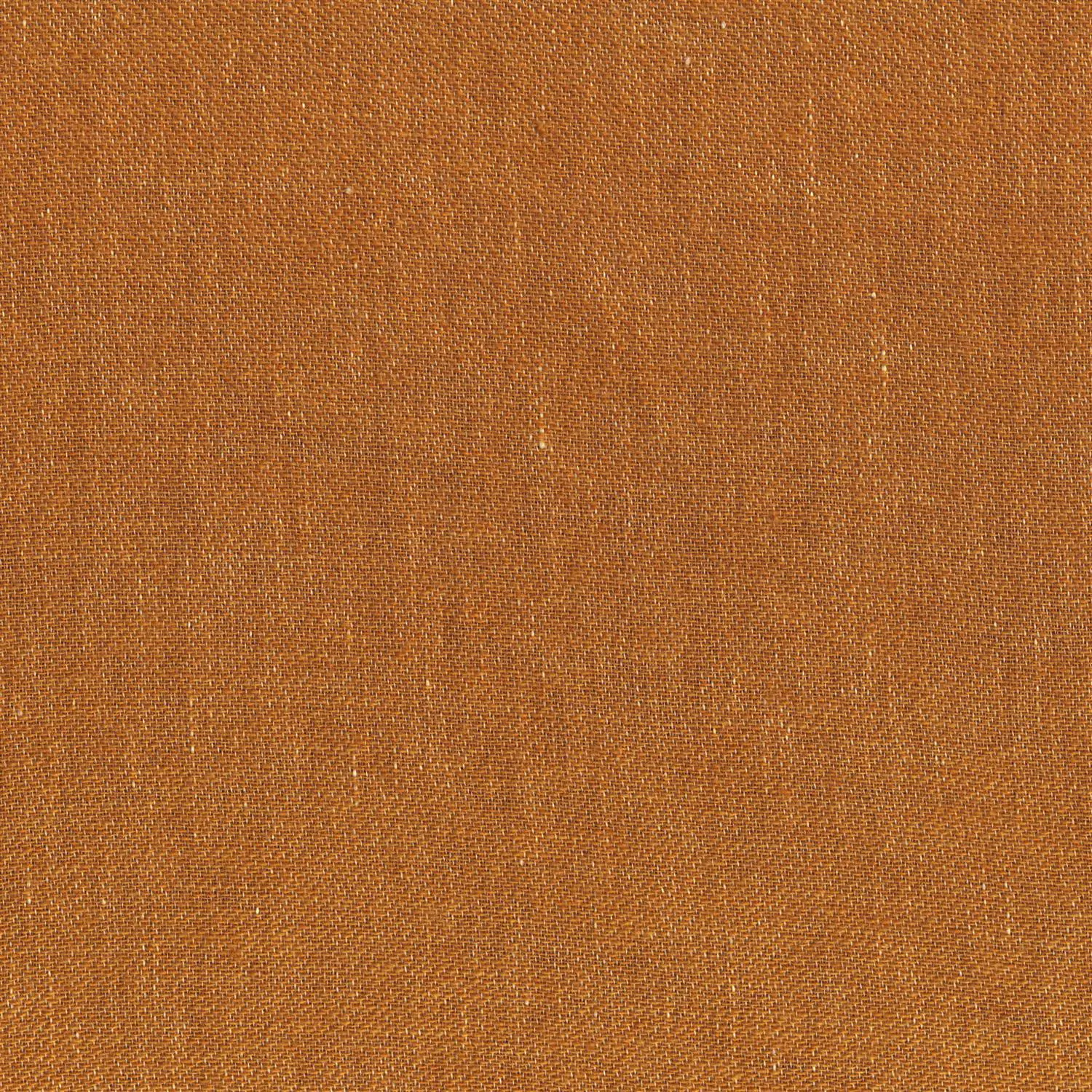 Camel 31