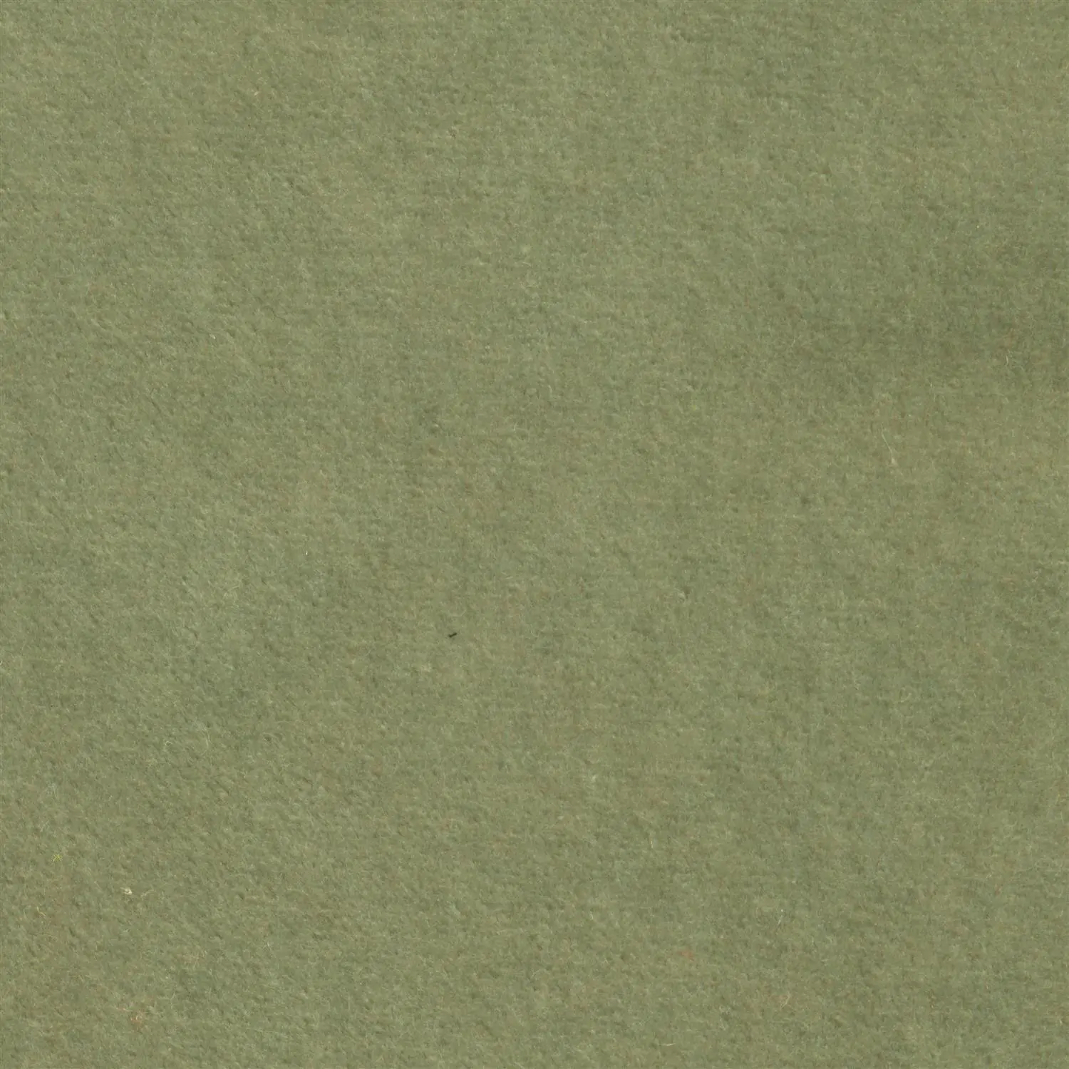 Sage 525